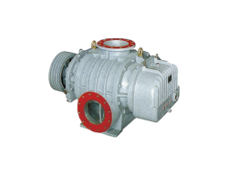 Roots Blowers & Vacuum Pumps